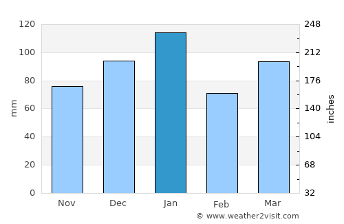 Bluff average rain in January