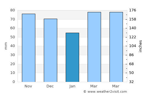 Bluffton average rain in January