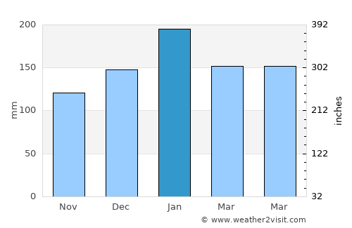 Blumenau average rain in January