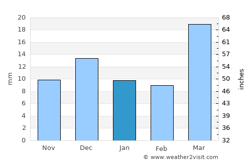 Bo’ston Shahri average rain in January