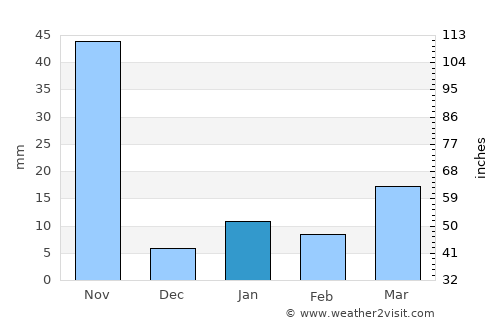 Bobbili average rain in January