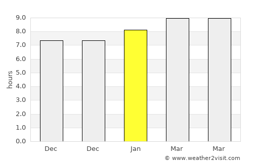 Boca Chica average rain in January