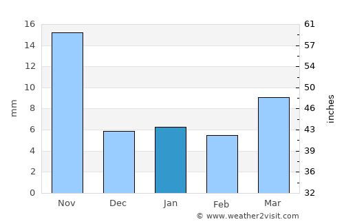 Bodhan average rain in January