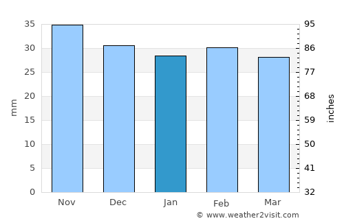 Bogdana average rain in January