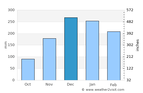 Bojonegoro average rain in December