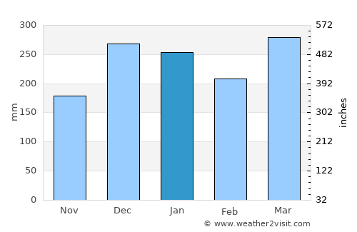 Bojonegoro average rain in January