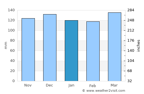 Bolivar average rain in January
