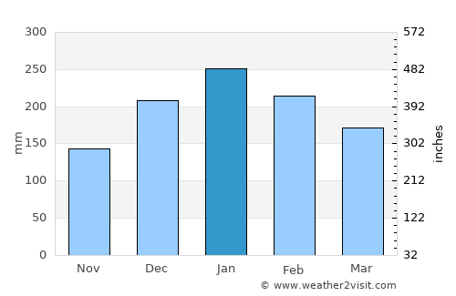Bom Jesus dos Perdões average rain in January