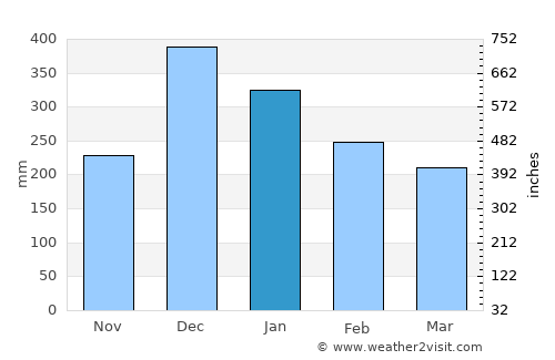 Bom Sucesso average rain in January