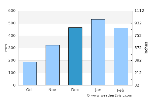 Bondowoso average rain in December