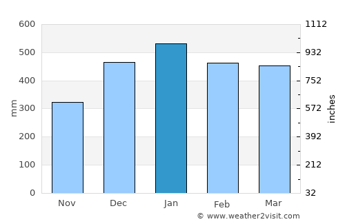 Bondowoso average rain in January