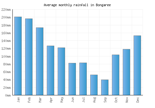 Bongaree monthly rainfall chart (mm)