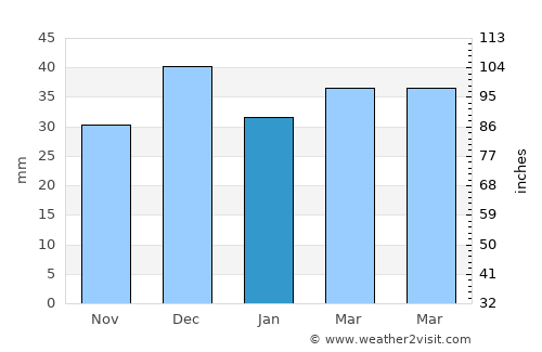 Bor average rain in January