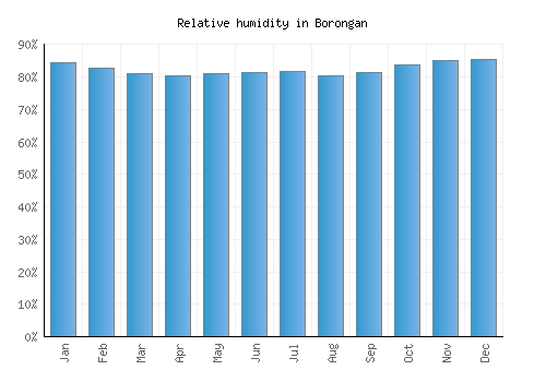 Borongan relative humidity averages