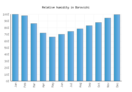 Borovichi relative humidity averages