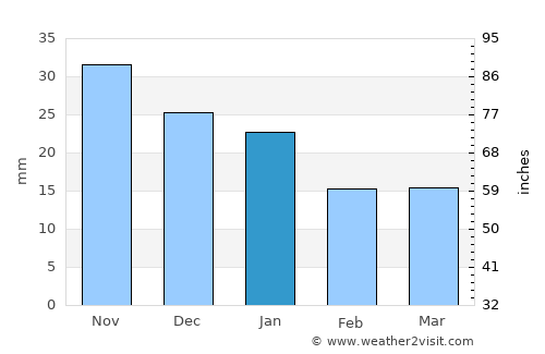Borovskiy average rain in January
