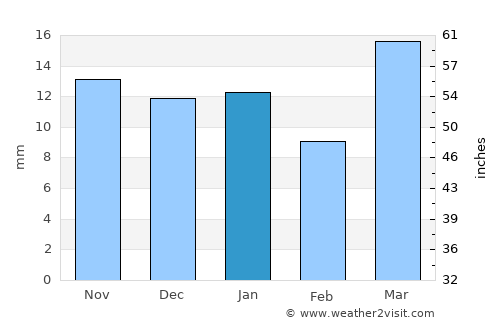 Bottineau average rain in January