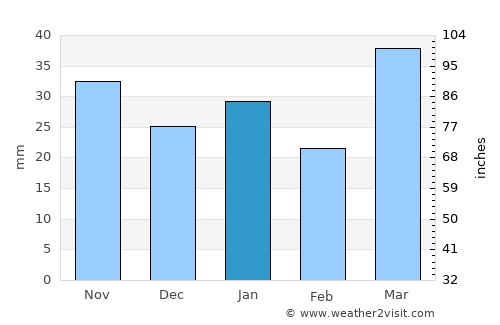 Bozeman average rain in January