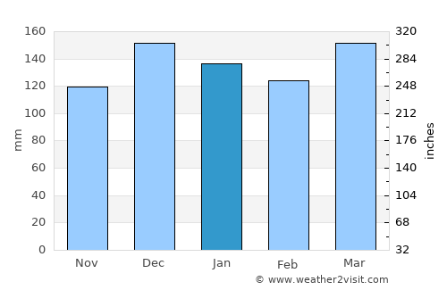 Brandon average rain in January