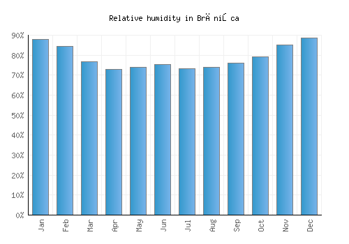 Brănişca relative humidity averages