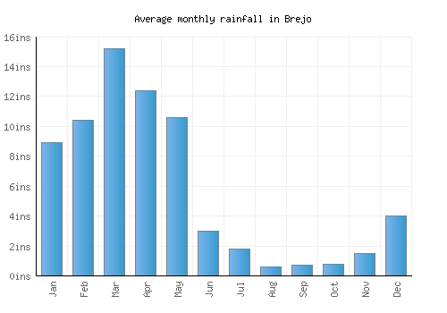 Brejo monthly rainfall chart (inches)