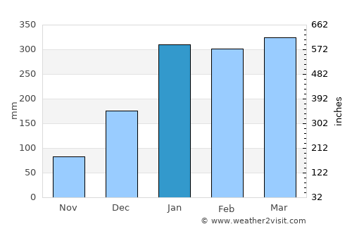 Breves average rain in January