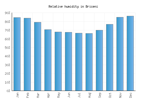 Briceni relative humidity averages