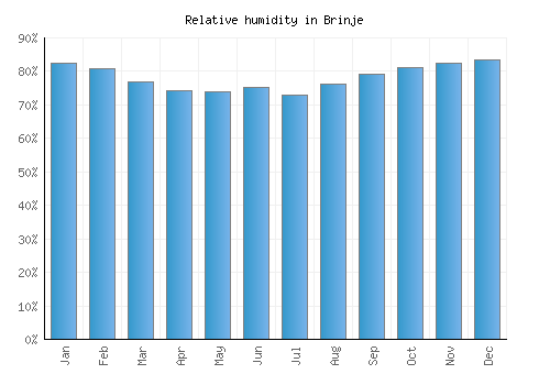 Brinje relative humidity averages