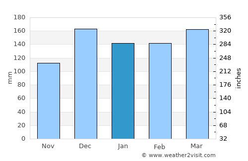 Brookhaven average rain in January