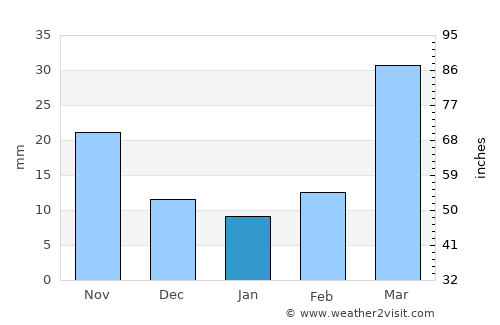 Brookings average rain in January