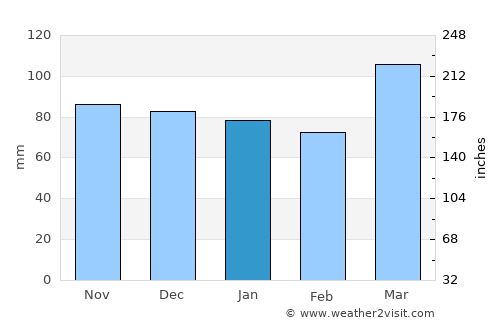 Brooksville average rain in January
