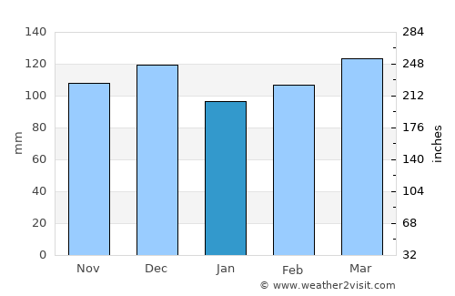 Brownsville average rain in January