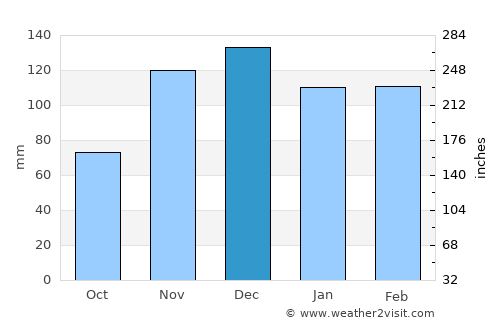 Brownsville average rain in December