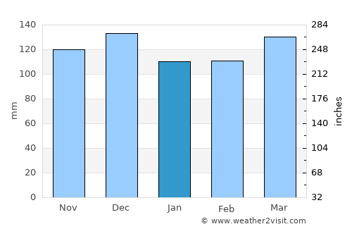 Brownsville average rain in January