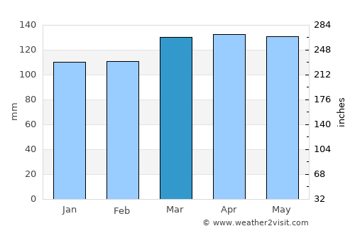 Brownsville average rain in March
