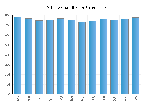 Brownsville relative humidity averages