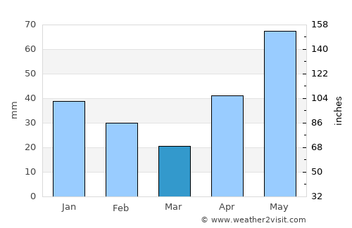Brownsville average rain in March