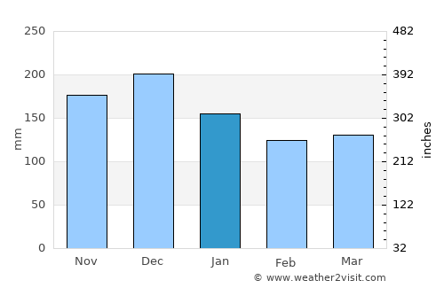 Bruhagen average rain in January