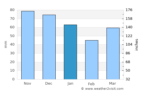 Bruinisse average rain in January
