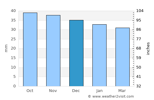 Bruiu average rain in December