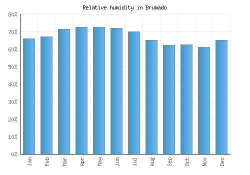 Brumado relative humidity averages