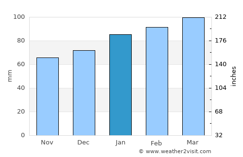 Brunswick average rain in January