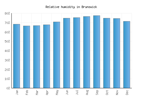 Brunswick relative humidity averages