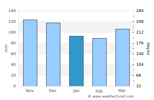 Brunswick average rain in January