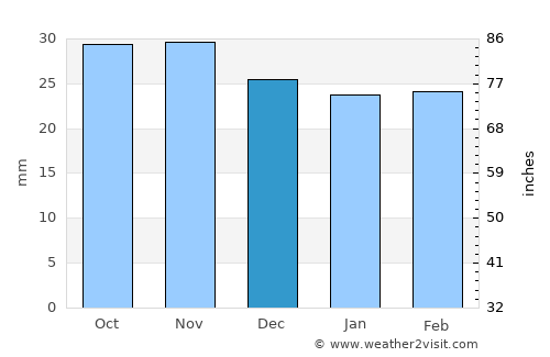 Brusturi average rain in December