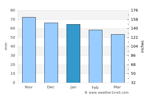 Bruz average rain in January