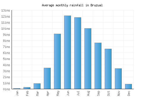 Bruzual monthly rainfall chart (inches)