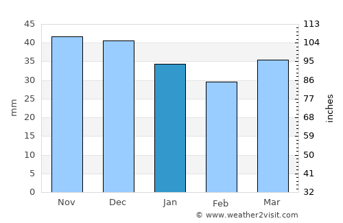 Brzesko average rain in January