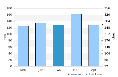 Buchanan average rain in February