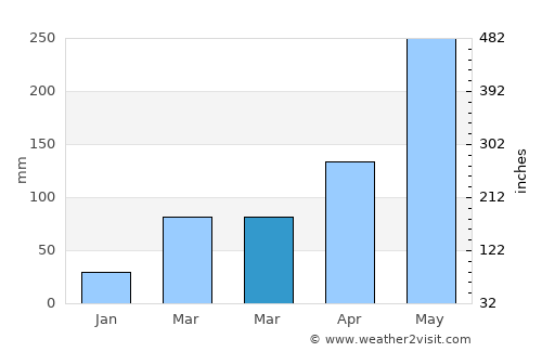 Buchanan average rain in March